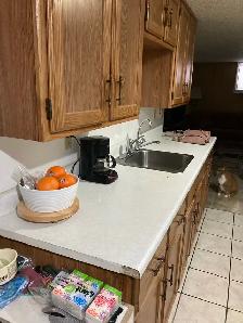 suite for rent - Photo 9