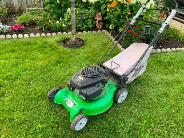 Tondeuse à gazon à gaz lawn boy