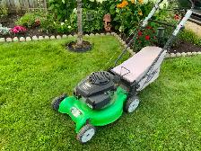 Tondeuse à gazon à gaz lawn boy