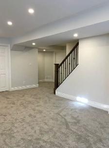 Bathroom renovation & basement finishing - Photo 6