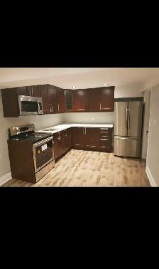 Bathroom renovation & basement finishing - Photo 7