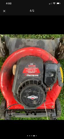Gas lawnmowers - Photo 4