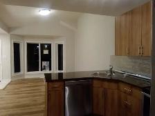 Modern, Spacious two bedroom Duplex near Downtown - Photo 3