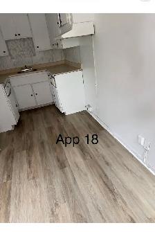 Apparemment 3 1/2 à Ahuntsic - Photo 5