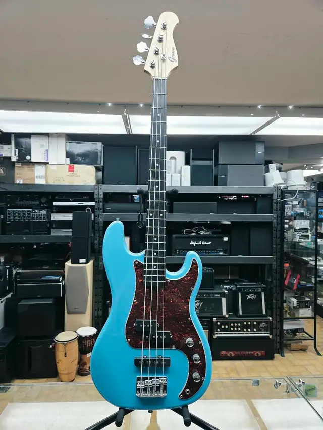 Basse P2024