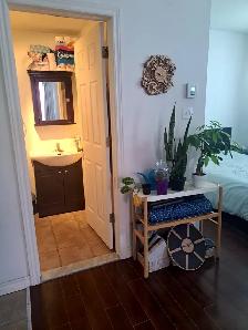 Cozy renovated Studio in Verdun (for September 1st) - Photo 7