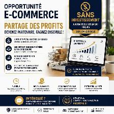 'No Investment'eCommerce Business Partnership Opportunity - Photo 4