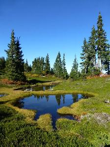 590 Acres of Pristine BC Land - Privacy & Investment Opportunity - Photo 8