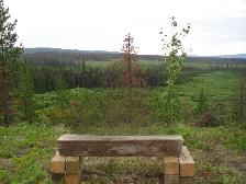 590 Acres of Pristine BC Land - Privacy & Investment Opportunity - Photo 9