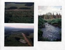 590 Acres of Pristine BC Land - Privacy & Investment Opportunity - Photo 12