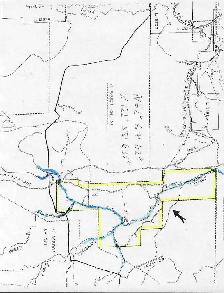590 Acres of Pristine BC Land - Privacy & Investment Opportunity - Photo 13
