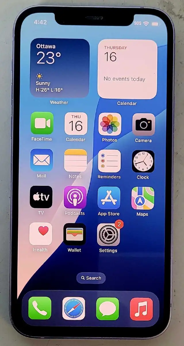 128GB IPhone 12 (32918914)