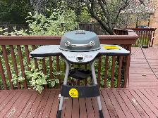 BBQ for sale! - Photo 4