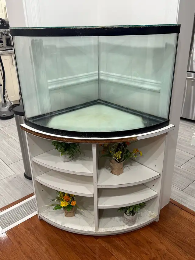 37 GALLON CORNER BOWFRONT WITH STAND