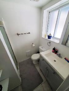 Large spacious bright 3 1/2 and 4 1/2 apt. in Sainte-Anne - Photo 15