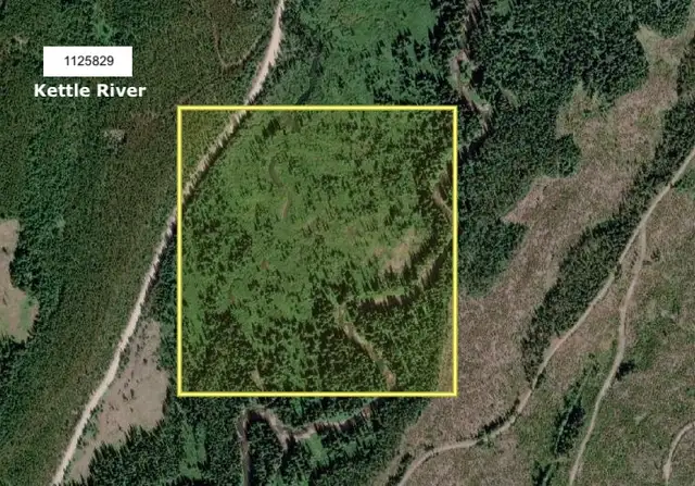 Gold Claim For Sale 1125929 on kettle River just south of Verno
