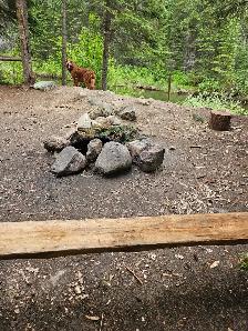 Gold Claim For Sale 1125929 on kettle River just south of Verno - Photo 6