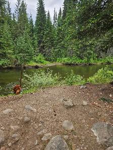 Gold Claim For Sale 1125929 on kettle River just south of Verno - Photo 7