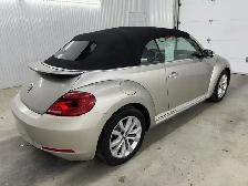 Volkswagen Beetle Convertible Trendline  cabriolet 2 portes 2016 - Photo 7