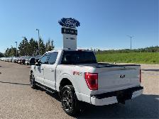 2022 Ford F-150 XLT - Remote Start - Apple CarPlay - Photo 3