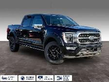 2021 Ford F-150 4WD PLATINUM - Photo 2