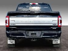 2021 Ford F-150 4WD PLATINUM - Photo 4