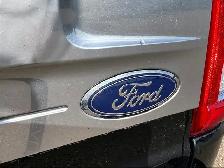 2021 Ford F-150 4WD PLATINUM - Photo 8