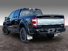 2021 Ford F-150 4WD PLATINUM - Photo 10