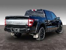 2021 Ford F-150 4WD PLATINUM - Photo 12