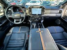 2021 Ford F-150 4WD PLATINUM - Photo 14