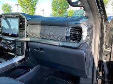 2021 Ford F-150 4WD PLATINUM - Photo 15
