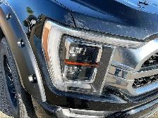 2021 Ford F-150 4WD PLATINUM - Photo 27