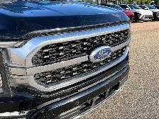 2021 Ford F-150 4WD PLATINUM - Photo 29