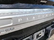 2021 Ford F-150 4WD PLATINUM - Photo 30