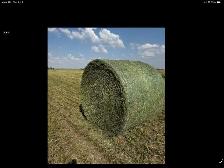 alfalfa round bale