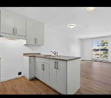 4.5 Appartement à louer – Premier mois gratuit - Photo 4