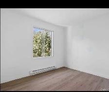 4.5 Appartement à louer – Premier mois gratuit - Photo 10