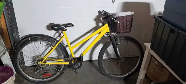 ladies bicycle