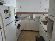Chambre disponible – Cohabitation – Laval – 4 1/2 - Photo 4