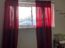 Master Bedroom For Rent Female (Big & Bright & walk-in bathroom) - Photo 5