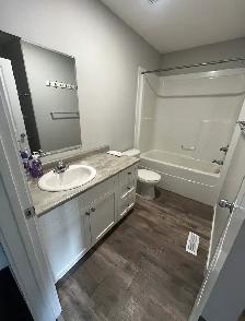 3 Bedroom Rental Available in Clairmont - Photo 3