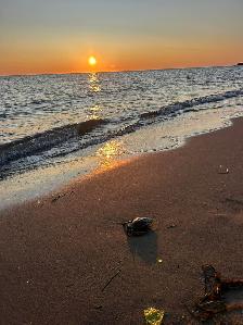 Mini-Home on owned 5 min walk to Parlee Beach - Photo 9