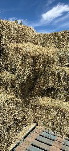 2026 small square bales