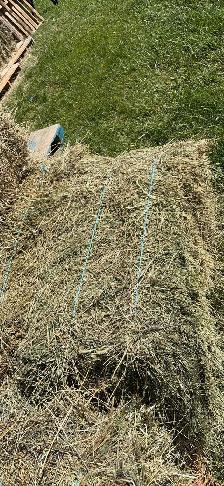 2026 small square bales - Photo 2