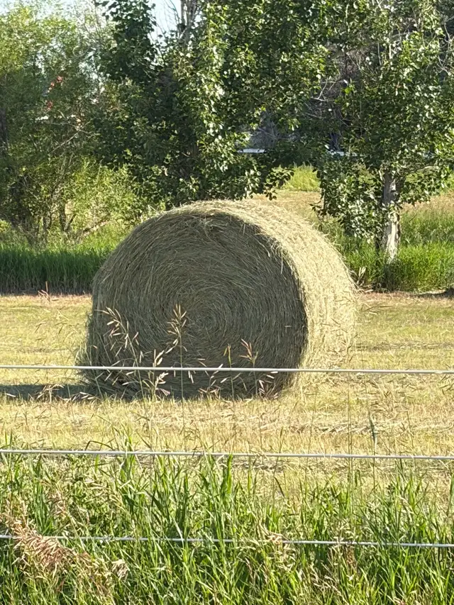 2026 large round bales