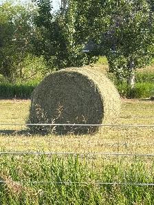 2026 large round bales