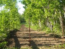 turn key farm operation close to bruderheim - Photo 2