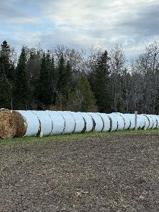 Oat straw