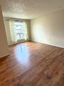 2BR MnFlr w/wlk-out patio/2fenced yards dogpen/PrivteEntry/PetOK - Photo 3