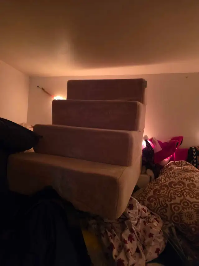 Pet Stairs